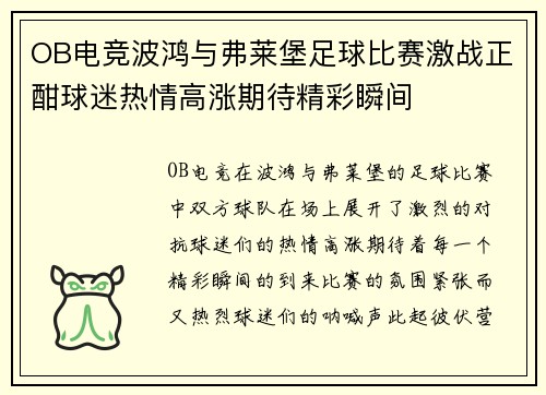 OB电竞波鸿与弗莱堡足球比赛激战正酣球迷热情高涨期待精彩瞬间